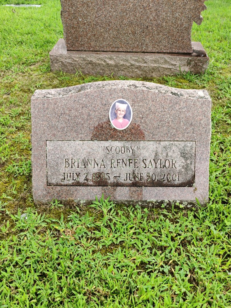 Renee Saylor's grave. Photo 1