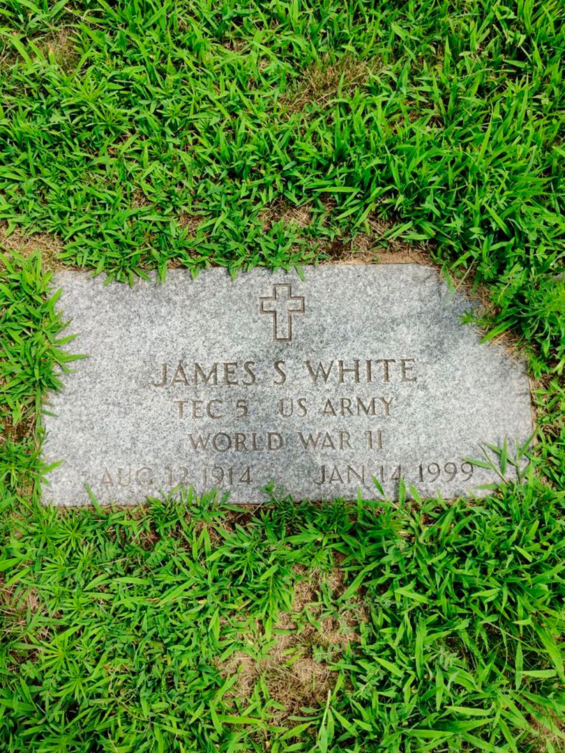 James S. White's grave. Photo 1