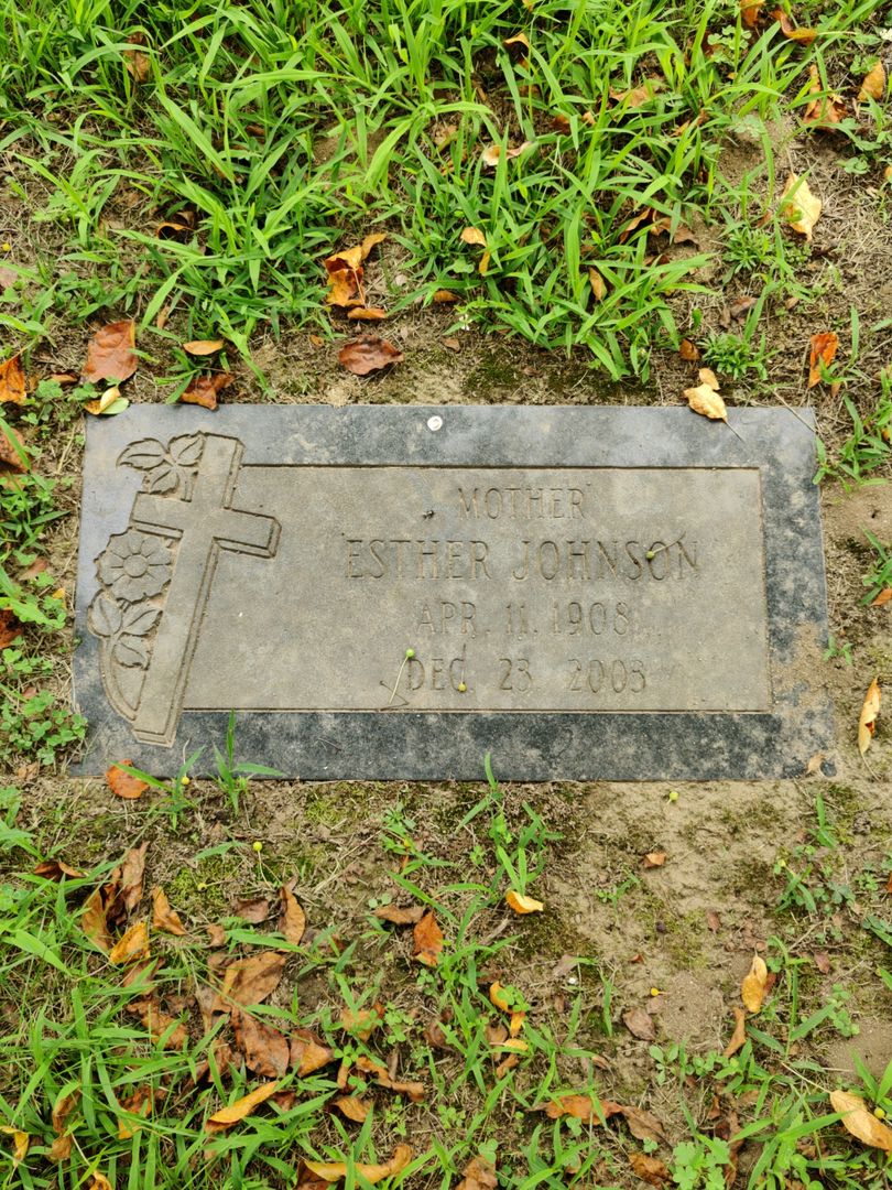 Esther Johnson's grave. Photo 1