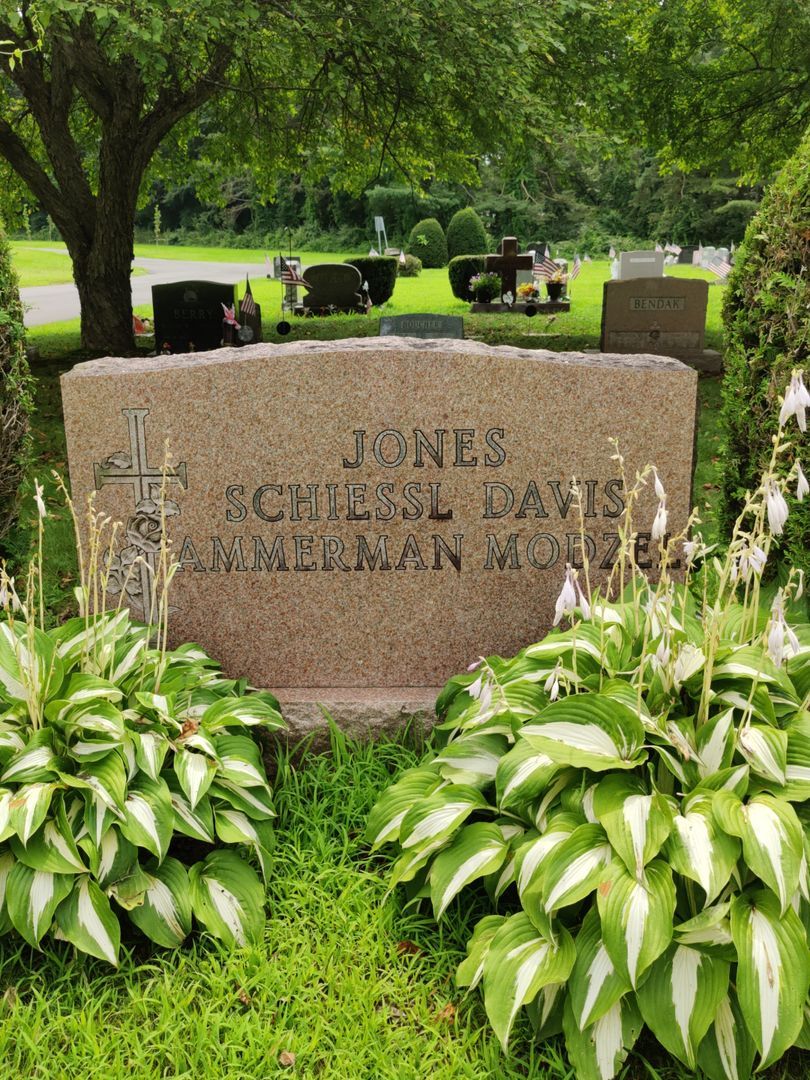 Carol Rita Ammerman Modzel's grave. Photo 1